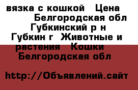 вязка с кошкой › Цена ­ 1 000 - Белгородская обл., Губкинский р-н, Губкин г. Животные и растения » Кошки   . Белгородская обл.